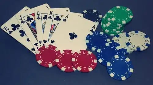 top555
